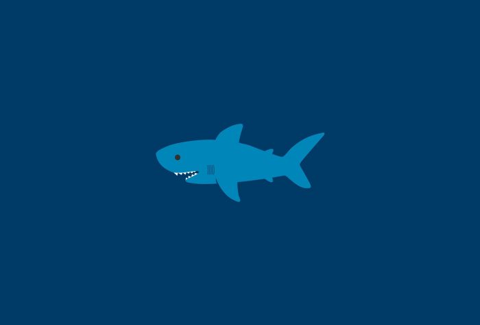 Картинка акула, синий фон, минимализм