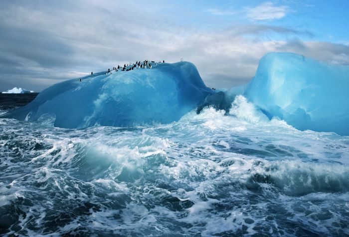 Картинка айсберг, океан, волны, пингвины