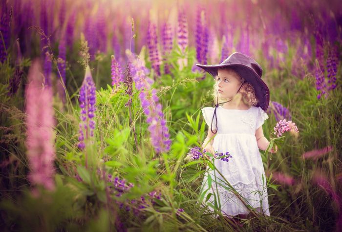 Картинка девочка в шляпе на природе, ребенок среди растений люпин
