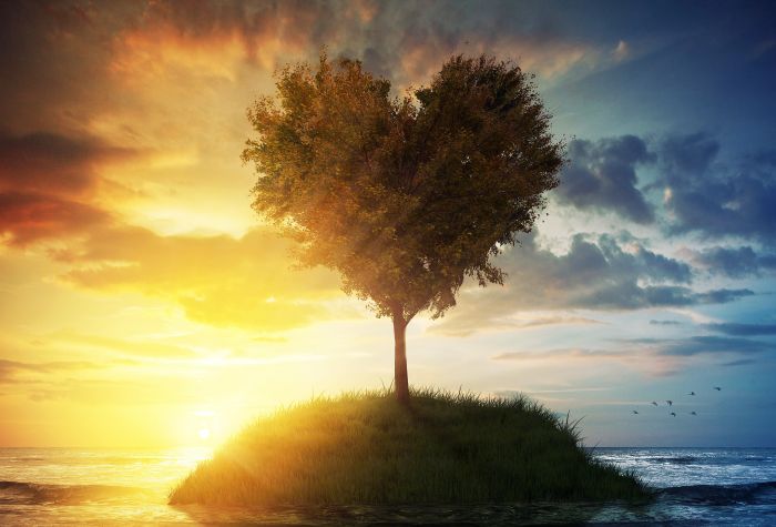 Картинка дерево, сердце на островке в океане, небо на закате