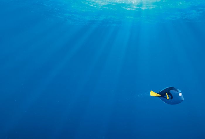 Картинка рыбка Дори плывет одна в океане «В поисках Дори»