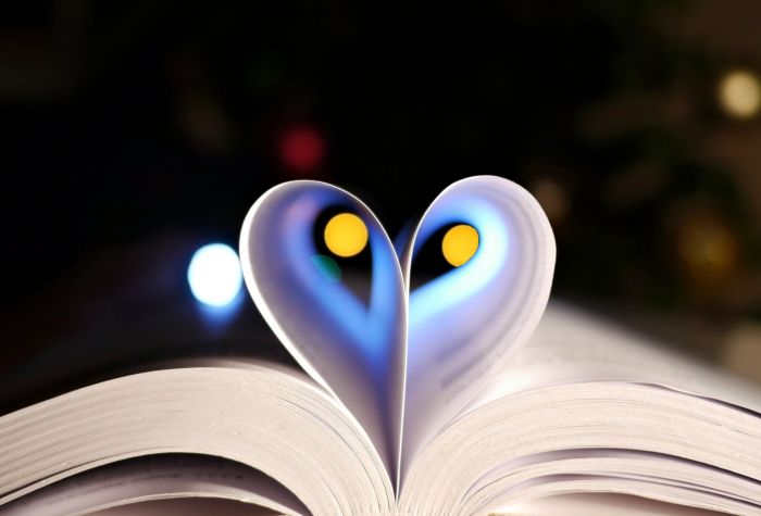 Картинка сердце из страниц в книге на размытом фоне боке