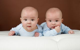малыши, младенцы близнецы