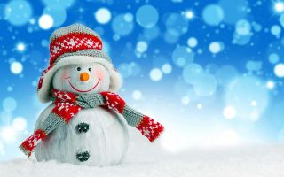 веселый снеговик в шапке и шарфике