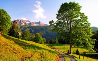 летний пейзаж, зелень, деревья, лес, горы Альпы, Швейцария