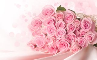 розовые розы, букет, цветы