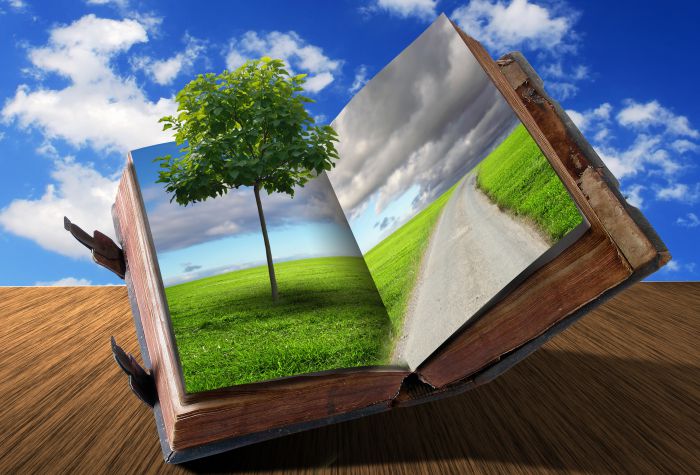 Картинка открытая книга с зеленой травой и деревом растущим из книги