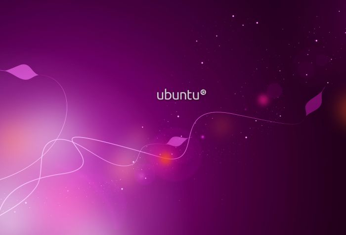 Картинка Ubuntu красивый фон операционной системы