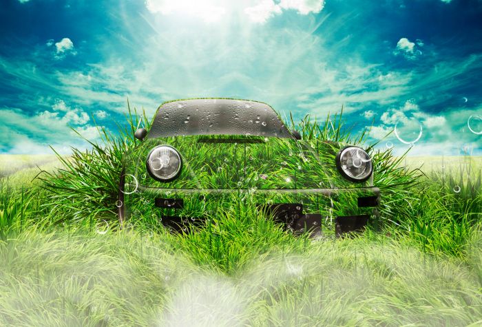 Картинка Порше 911, аэрография, зеленая трава, креатив