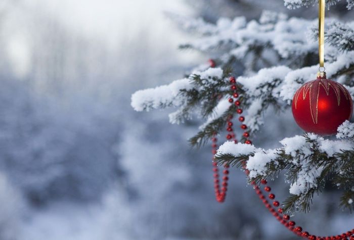 Картинка еловая ветка в снегу, новогодние украшения