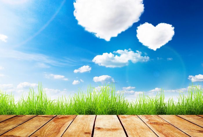 Картинка деревянный пол, трава, облака сердечками, лето