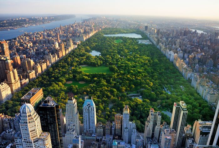Картинка зеленый центральный парк Нью Йорка, Манхеттен
