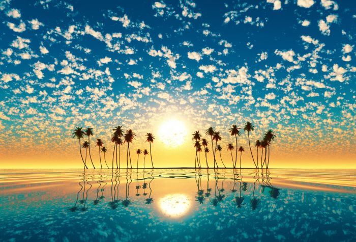Картинка пейзаж, море, закат, пальмы, красивое небо, отражение в воде