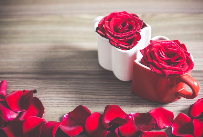 Картинка две чашки с розами возле красный лепестков