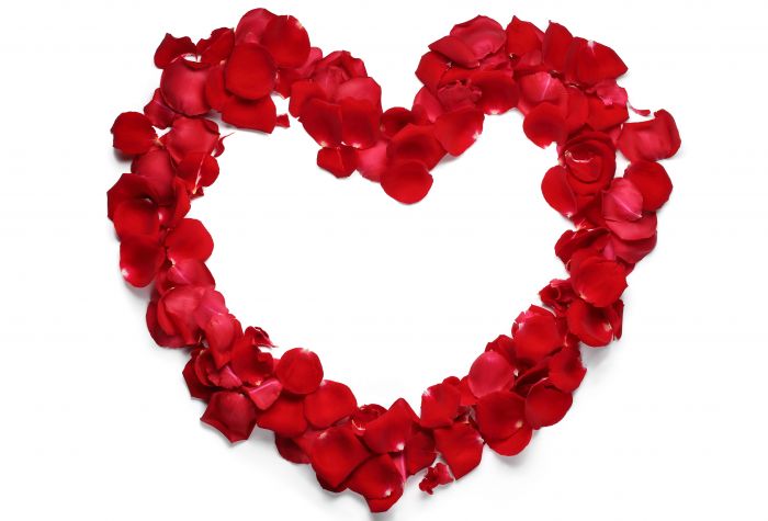 Картинка сердце из лепестков красной розы на белом фоне