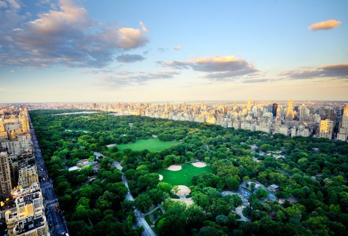 Картинка островок природы, центральный парк в Нью-Йорке
