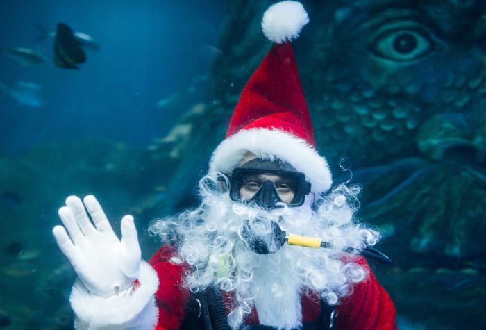 Картинка прикольный Дед Мороз аквалангист под водой