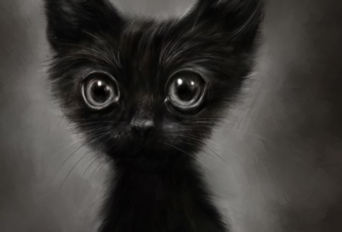 Картинка смешной, маленький, черный котенок