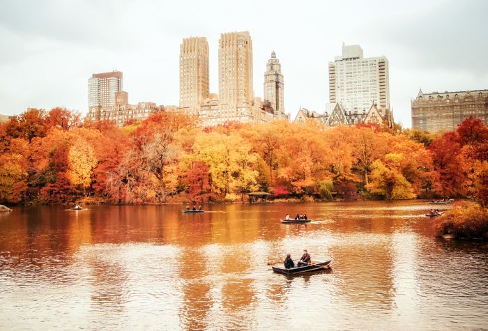 Картинка осень, озеро, люди в лодках, Центральный парк, Нью-Йорк