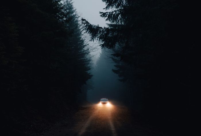 Картинка машина едет по дороге в темном, мрачном лесу