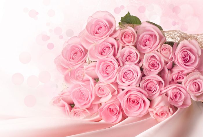 Картинка розовые розы, букет, цветы