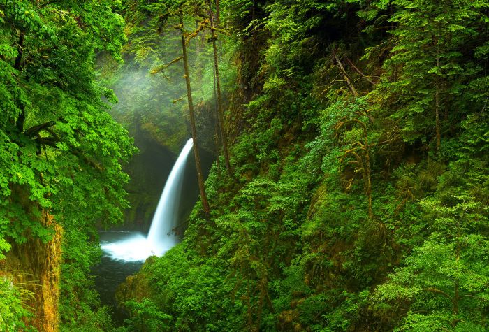 Картинка водопад посреди зеленого леса, пейзаж