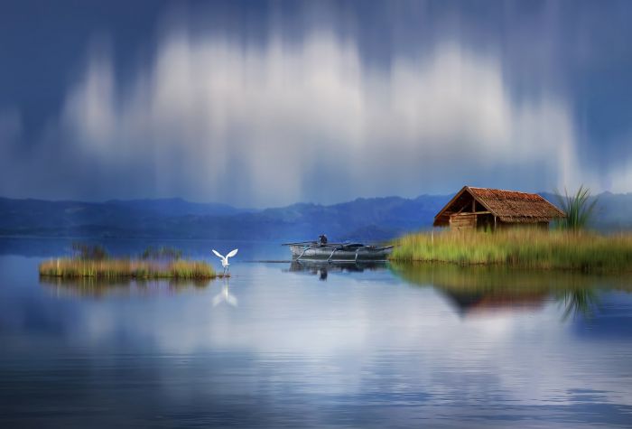 Картинка пейзаж на озере, домик, лодка, камыши, птица