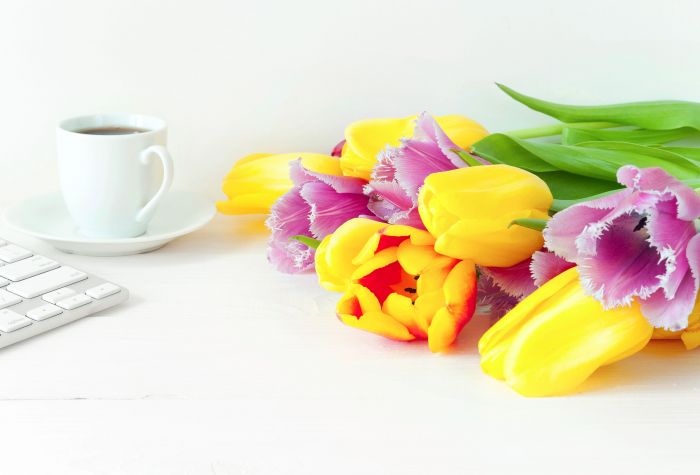 Картинка тюльпаны на белоснежном столе