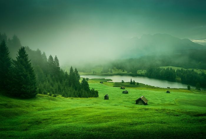 Картинка пейзаж в тумане, зеленый лес, трава, возле реки, лето