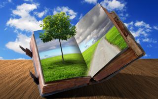 открытая книга с зеленой травой и деревом растущим из книги