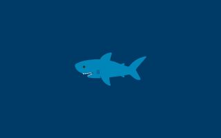 акула, синий фон, минимализм