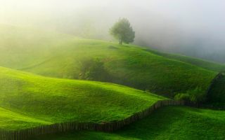 зеленые холмы покрыты травой и окутаны туманом