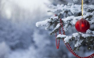 еловая ветка в снегу, новогодние украшения