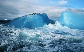 айсберг, океан, волны, пингвины