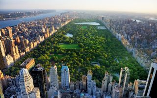 зеленый центральный парк Нью Йорка, Манхеттен