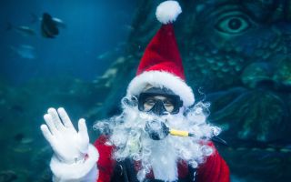 прикольный Дед Мороз аквалангист под водой