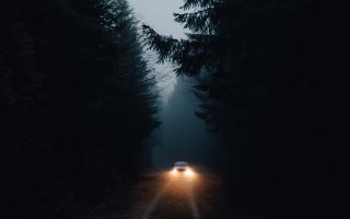 машина едет по дороге в темном, мрачном лесу