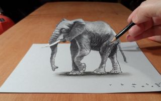 3D слон рисунок на бумаге карандашом