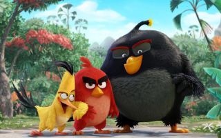 персонажи птицы Angry Birds, Чак, Ред и Бомб