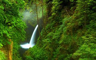 водопад посреди зеленого леса, пейзаж