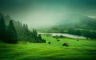 пейзаж в тумане, зеленый лес, трава, возле реки, лето