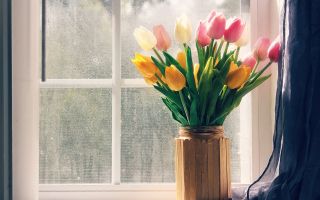 букет тюльпанов на окне, нежные цветы в вазе